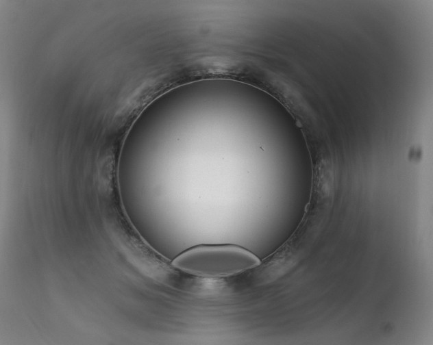 X0000111910509200907271225