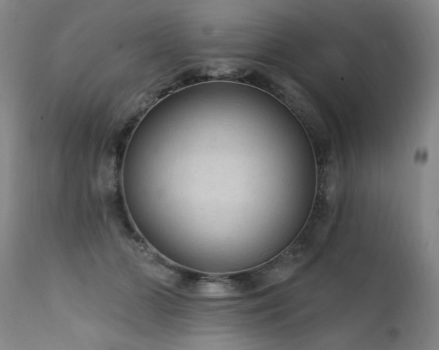 X0000111910510200907271225