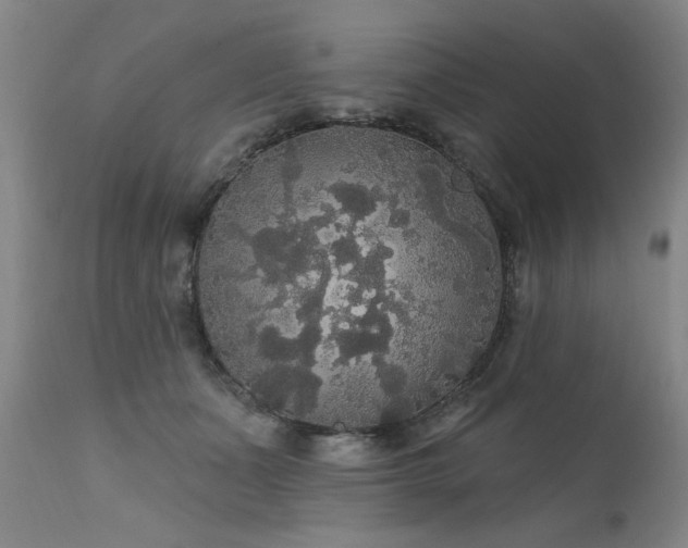X0000111910511200907271225