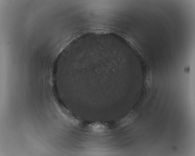 X0000111910512200907271225