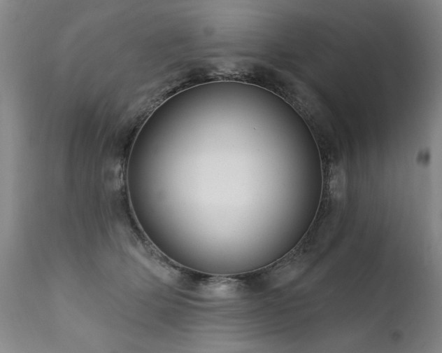 X0000111910514200907271225