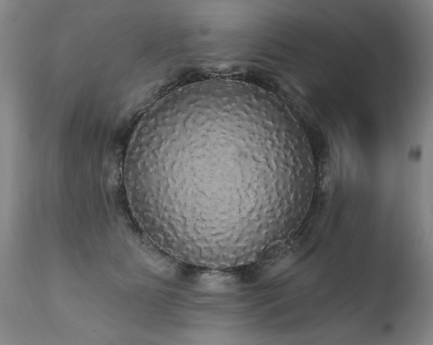 X0000111910515200907271225