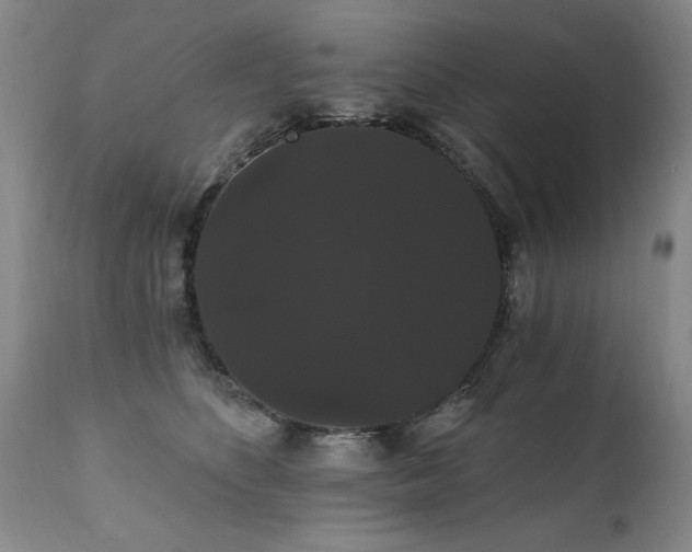 X0000111910516200907271225