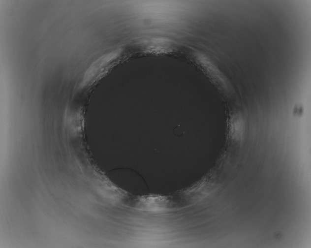 X0000111910517200907271225