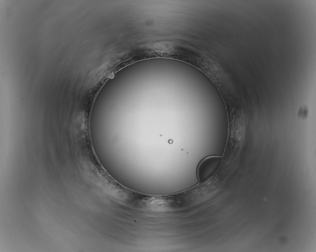 X0000111910518200907271225