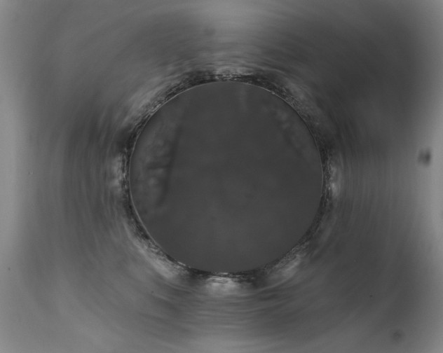 X0000111910519200907271225