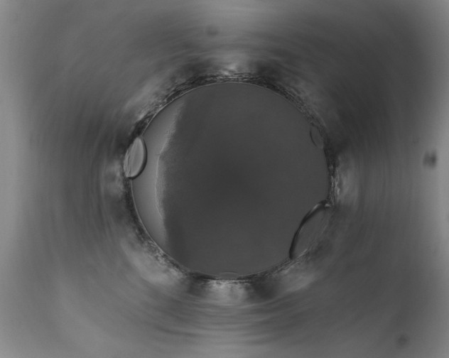 X0000111910520200907271225