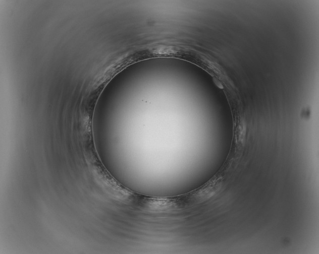 X0000111910521200907271225