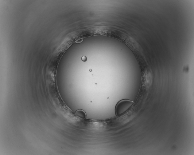 X0000111910522200907271225