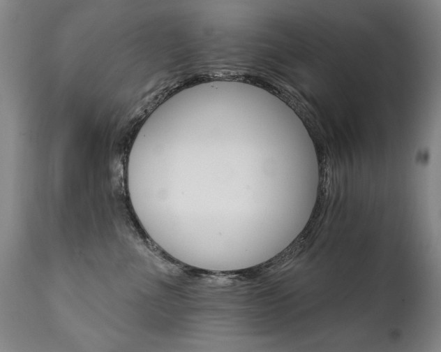 X0000111910523200907271225