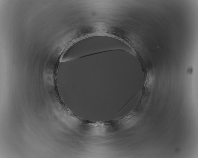 X0000111910524200907271225