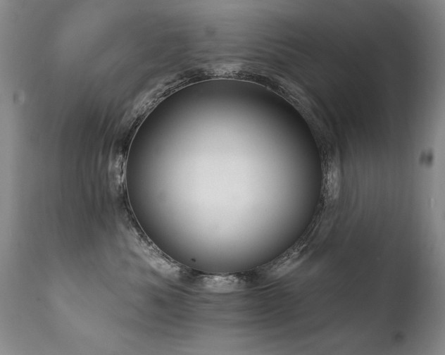 X0000111910525200907271224
