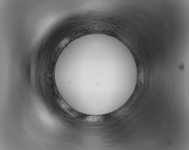 X0000111910526200907271224