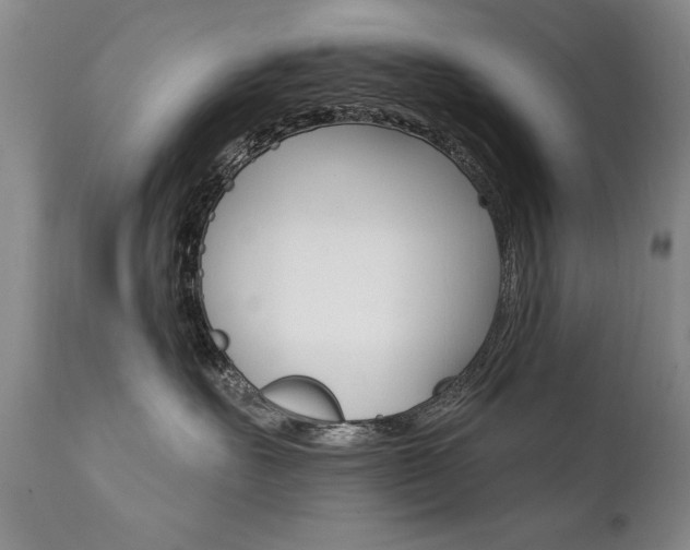 X0000111910527200907271224