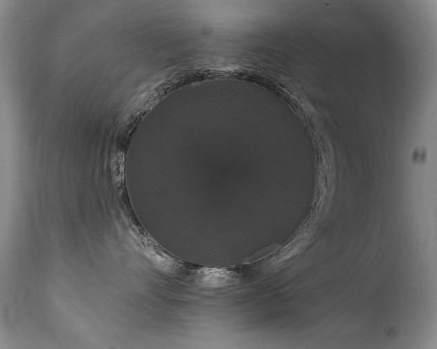 X0000111910528200907271224
