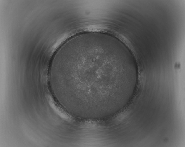 X0000111910530200907271224