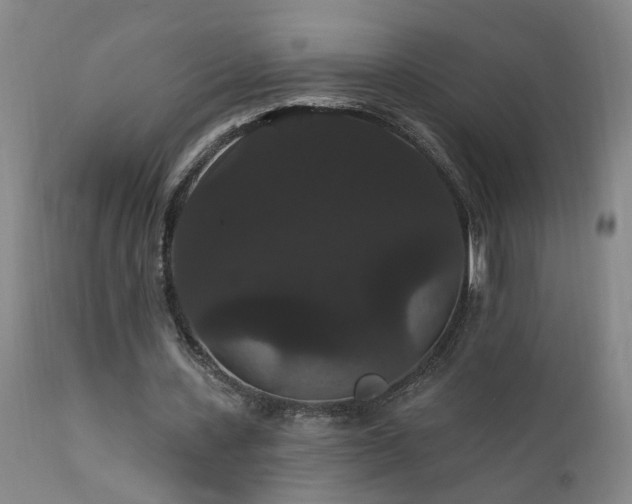 X0000111910531200907271224