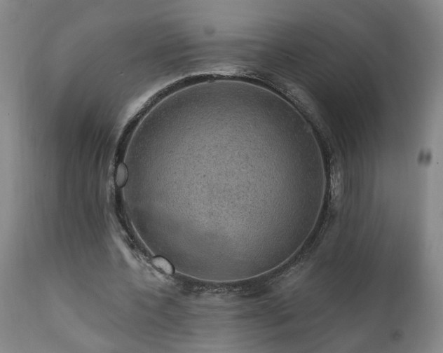 X0000111910532200907271224