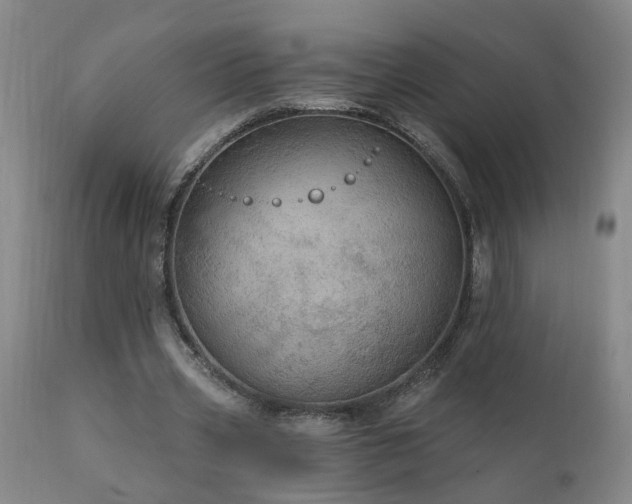 X0000111910533200907271224