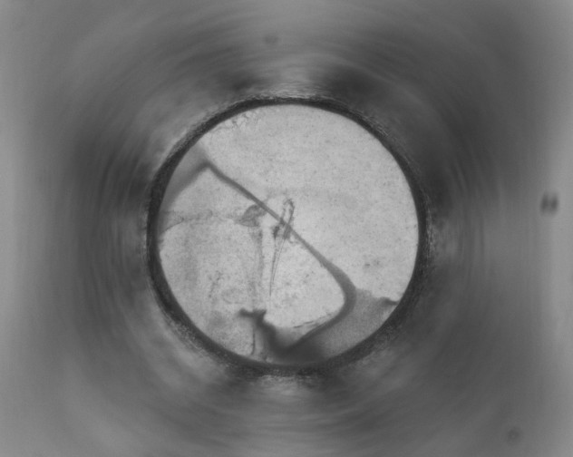 X0000111910534200907271224
