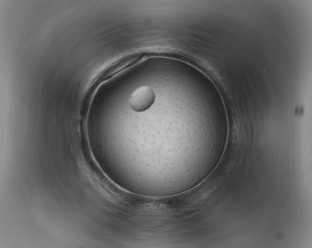 X0000111910535200907271224