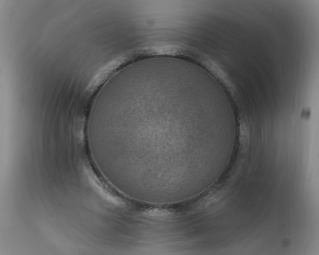 X0000111910537200907271224