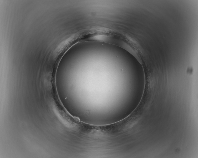 X0000111910538200907271224