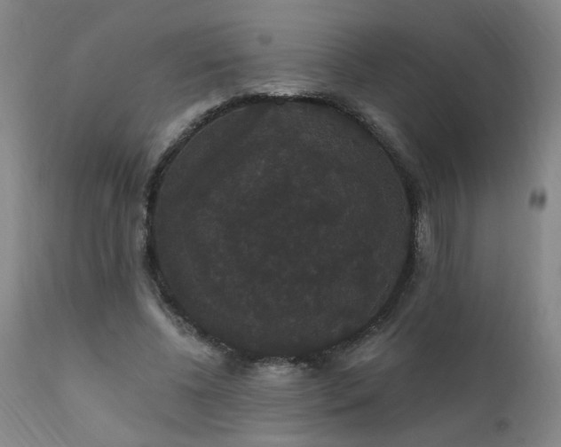 X0000111910540200907271224