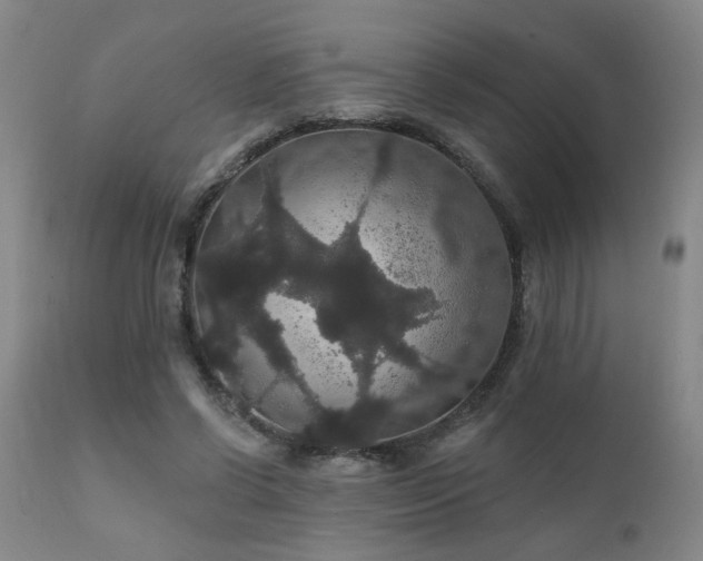 X0000111910542200907271224