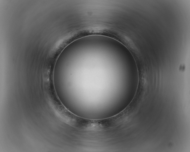 X0000111910543200907271224