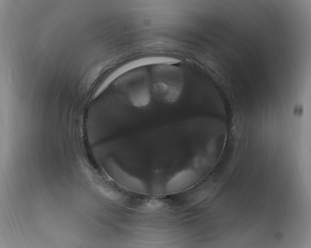 X0000111910547200907271224