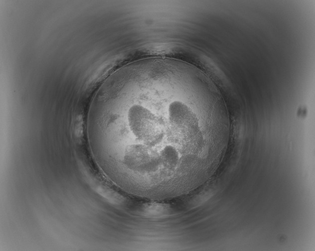 X0000111910549200907271224