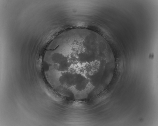 X0000111910550200907271224