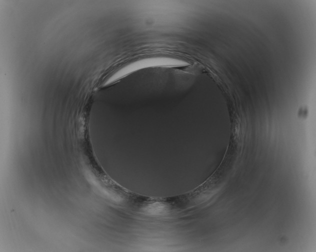 X0000111910551200907271224
