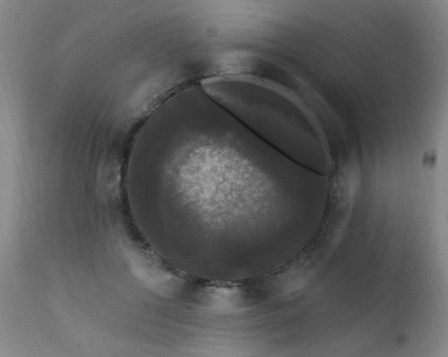 X0000111910552200907271224