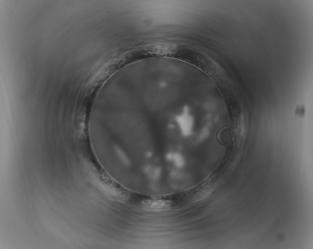X0000111910553200907271224