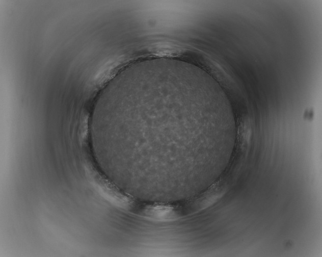 X0000111910554200907271224