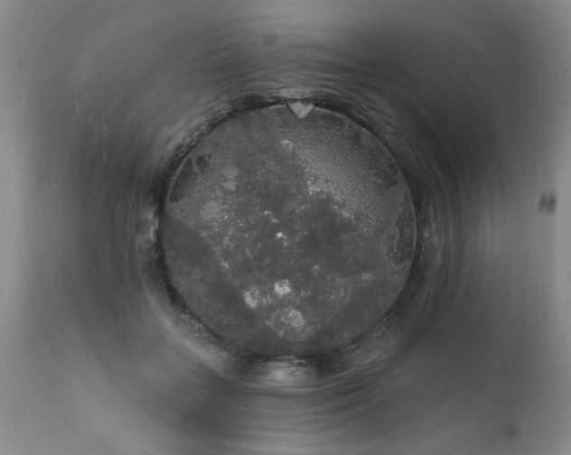 X0000111910555200907271224