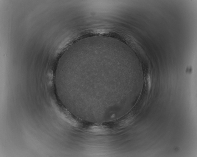 X0000111910556200907271224