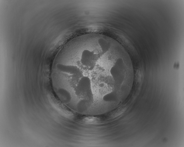 X0000111910557200907271224