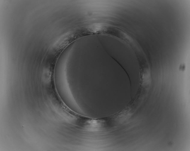 X0000111910558200907271224