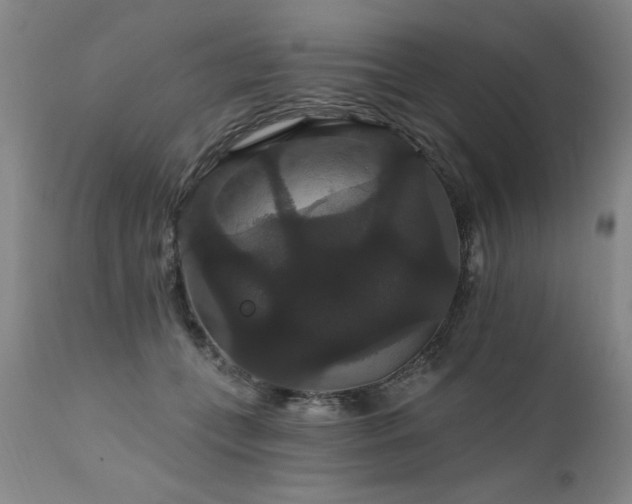 X0000111910559200907271224