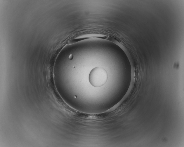 X0000111910562200907271224