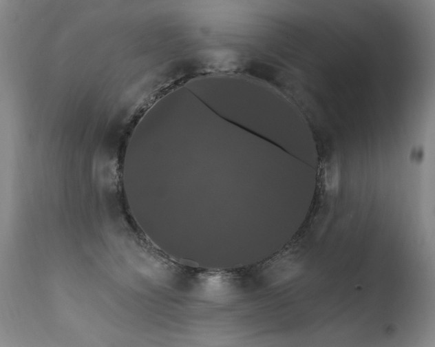 X0000111910564200907271224