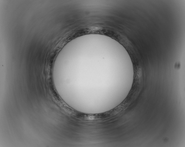 X0000111910565200907271224