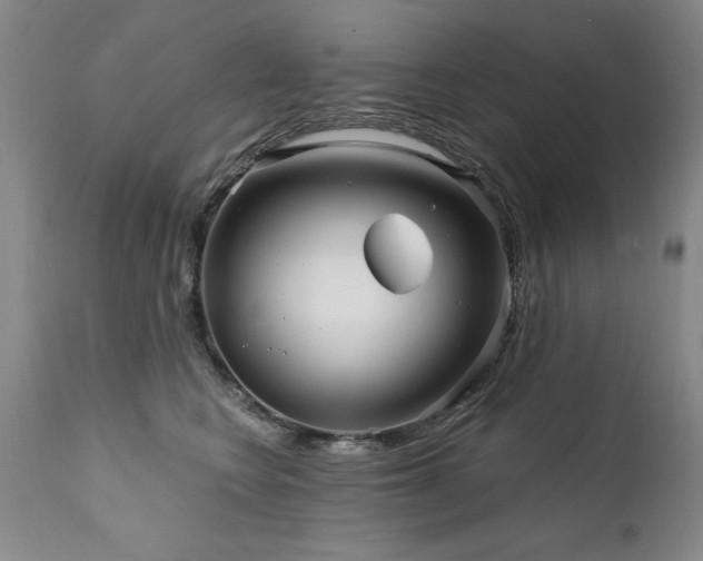 X0000111910566200907271224