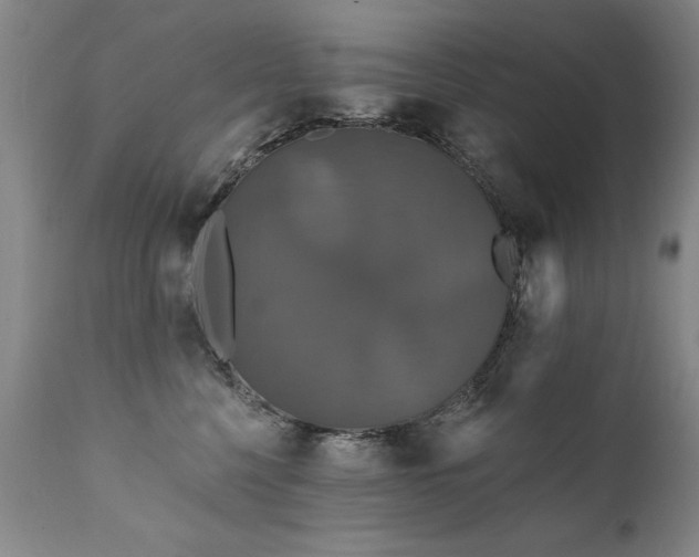 X0000111910568200907271224