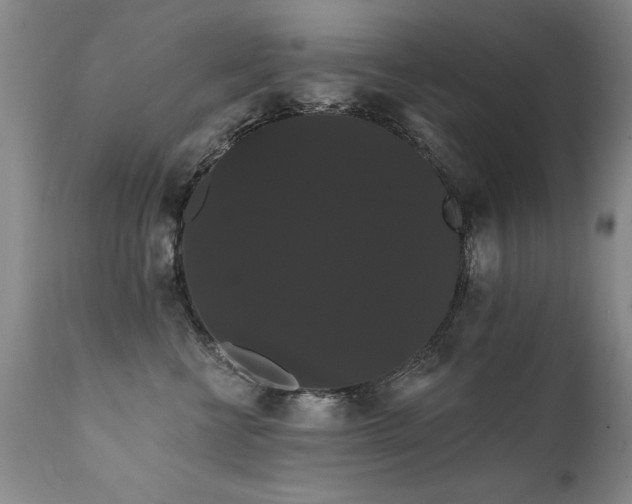 X0000111910570200907271224