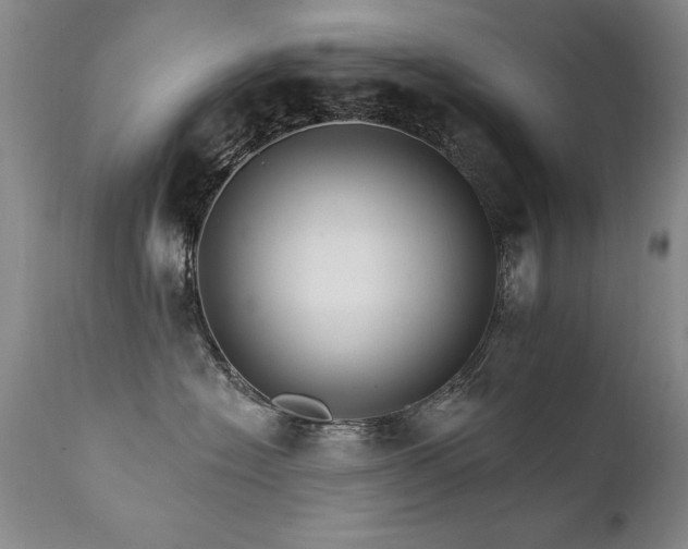 X0000111910574200907271224