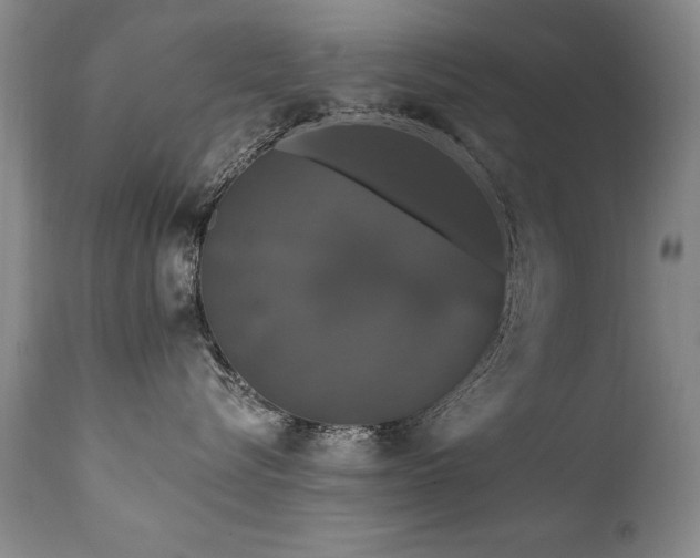 X0000111910576200907271224